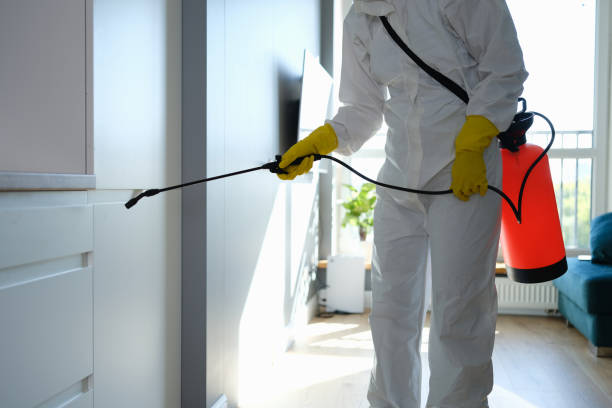 Best Best Mold Removal Companies  in Pleasant Ridge, MI