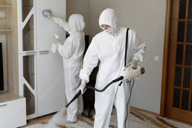 Best Mold Removal Process  in Pleasant Ridge, MI