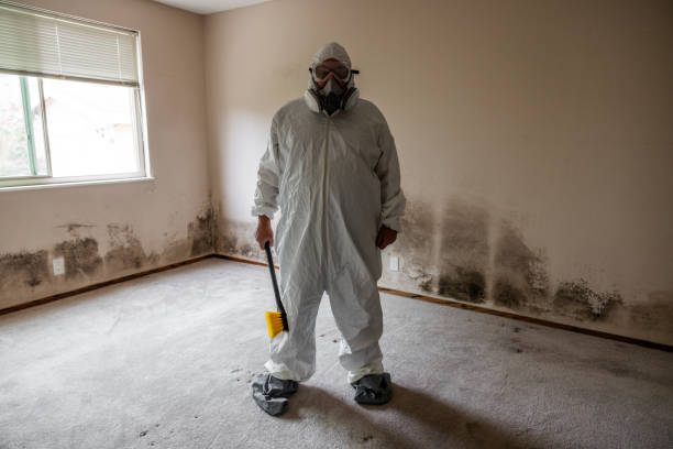 Best Mold Damage Repair  in Pleasant Ridge, MI